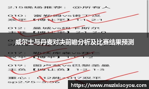 威尔士与丹麦对决前瞻分析及比赛结果预测