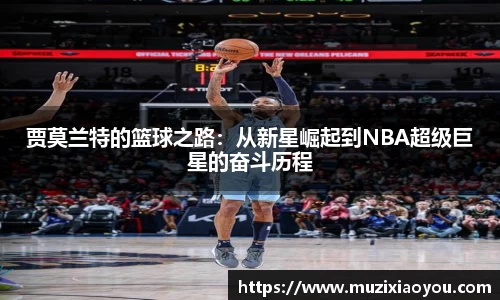 zoty中欧官方网站